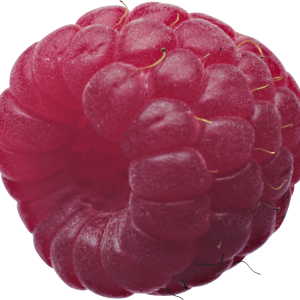 Rraspberry PNG image