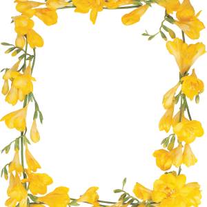 Floral frame PNG
