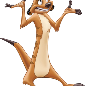 Timon PNG