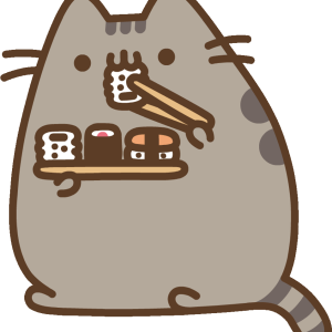 Pusheen PNG