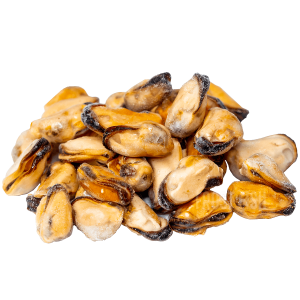 Mussel PNG