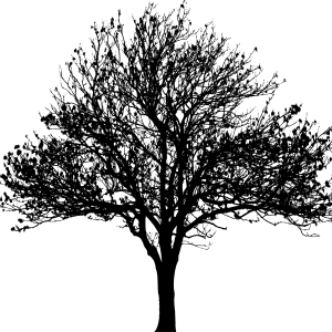 tree PNG