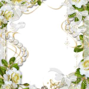 Wedding frame PNG
