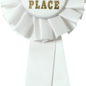 Award, trophy PNG