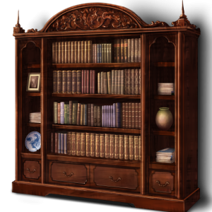 Bookshelf, bookcase PNG