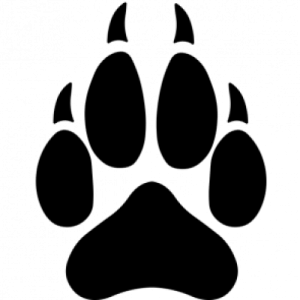 Paw PNG