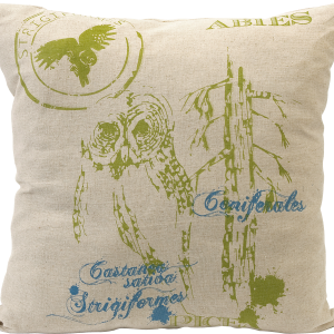 Pillow PNG