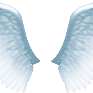 Wings PNG