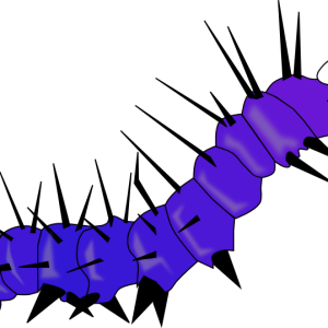 Caterpillar PNG