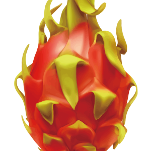 pitaya PNG