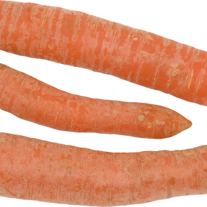Carrot PNG image