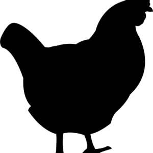 black siluete Chicken PNG image