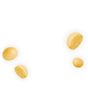 Soybean PNG