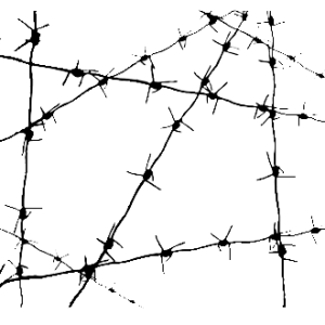 Barbwire PNG
