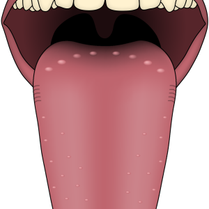 Tongue PNG
