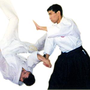 Aikido PNG