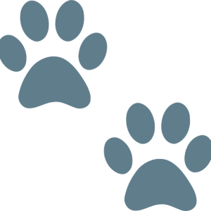 Paw PNG