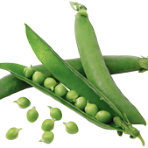 Pea PNG
