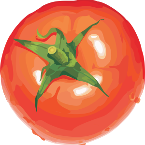 Tomato wet PNG