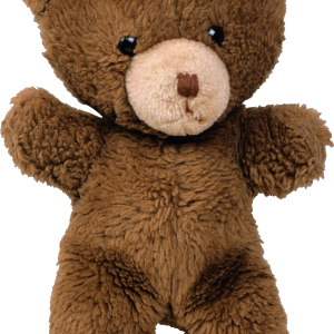 Teddy bear PNG