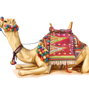 Camel PNG