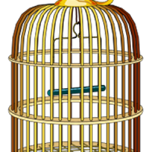 Cage bird PNG