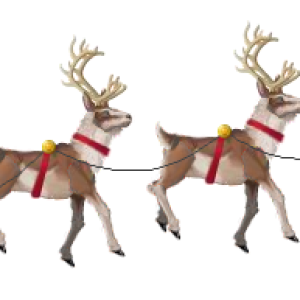 Santa sleigh PNG