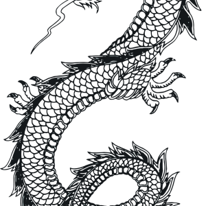 Black tattoo dragon PNG images