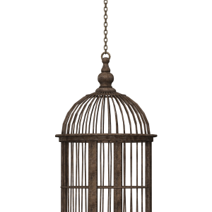 Cage bird PNG