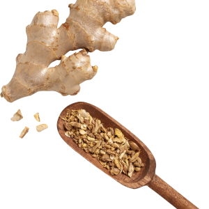 Ginger PNG