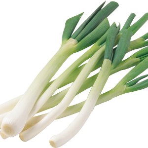 Leek PNG