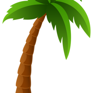 Palm tree PNG