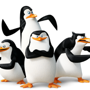 Madagascar penguins PNG