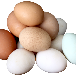 eggs PNG