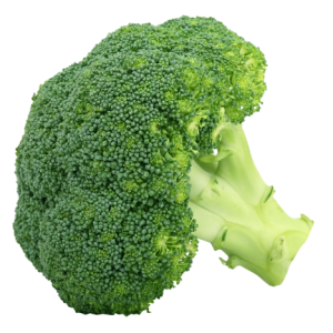 Broccoli PNG