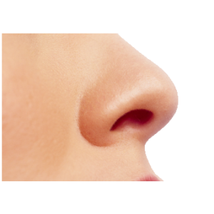 Human nose PNG