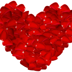 Heart PNG