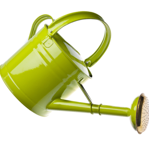 Watering green image can PNG