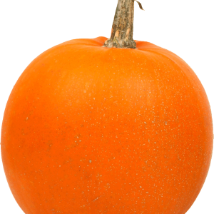Pumpkin PNG