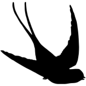 Swallow PNG