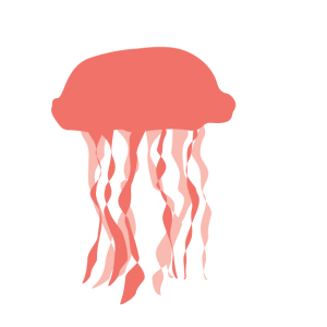 Jellyfish PNG