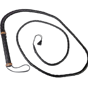 Whip PNG