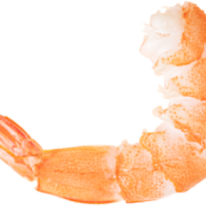 Shrimps PNG