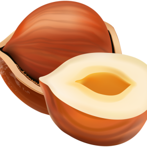 hazelnut PNG