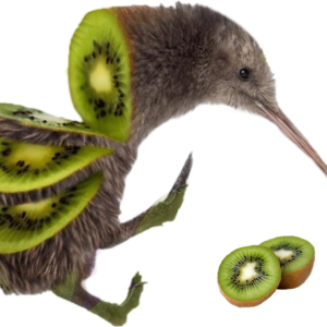 Kiwi bird PNG