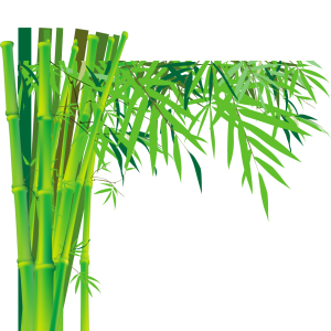 Bamboo PNG