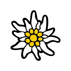 Edelweiss PNG