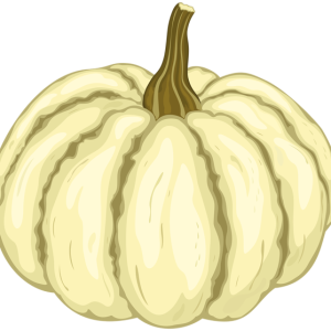 Pumpkin PNG
