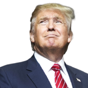 Donald Trump PNG
