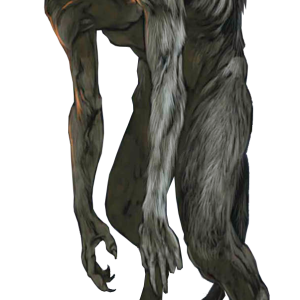 Werewolf PNG